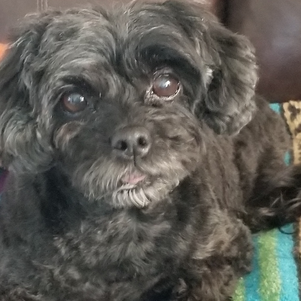 Meet your Posher, Anita